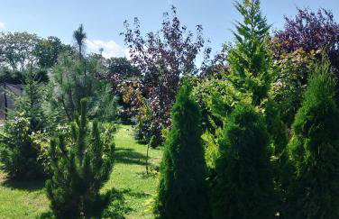 Słoneczny domek - Photo 2