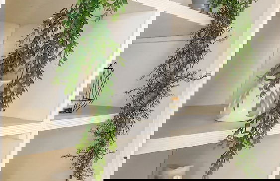 Apartamentos Estilo Republicano - Centro - Photo 22