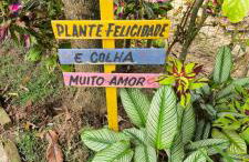 Visão privilegiada Garatucaia - Foto 22