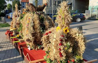 Apartament Różane Wzgórze - Foto 55