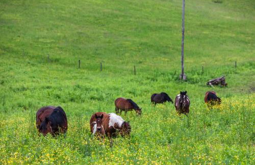 Apartment Stone and Wood - Photo 47