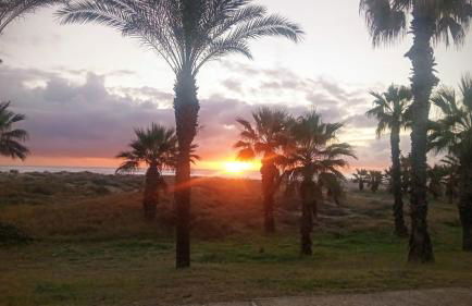 Apartamento Playa Pinar Golf - Photo 24