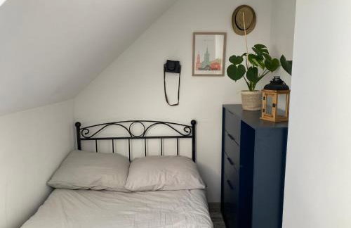 Dom Sielskie Szkotowo - Foto 14