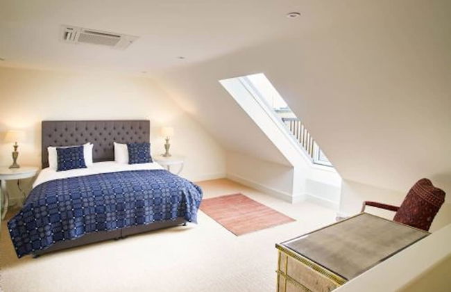 Host Stay Number One Piglets - Foto 25