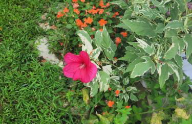 The BrickHouse on Grace - Foto 26