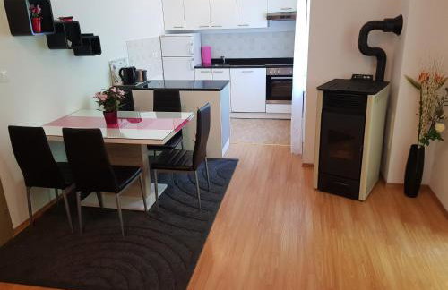 APARTMA JASMIN - Foto 15