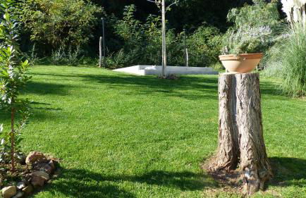 I Fiori nel golfo di Baratti - Foto 29