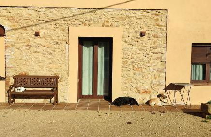 Can Costals Olivo - Foto 26