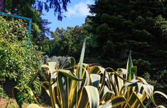 AGRITURISMO TERRA VOLONTERI - Foto 30