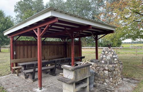 Apartment in Eschede, Luneburg - Foto 76