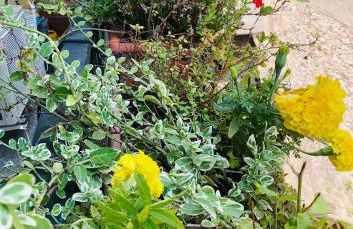 La casa di Isa - Foto 27