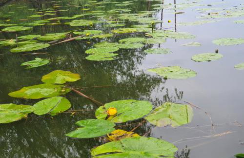 Cicha Przystań - Foto 5