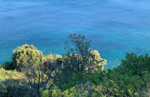 Sterna Suites - Photo 44