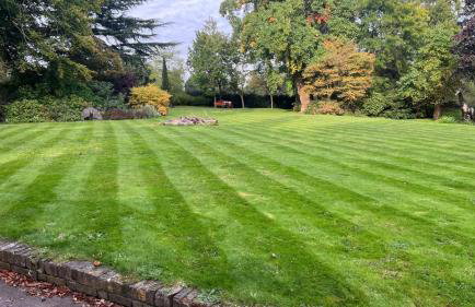 Denham Mount - Photo 63