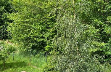 Domek Raszówka - Foto 18