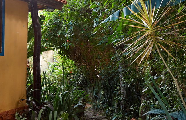 Chale Ipe Jatoba - Foto 48