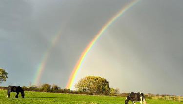 Appaloosa suite with amazing views of stud farm. - Foto 3