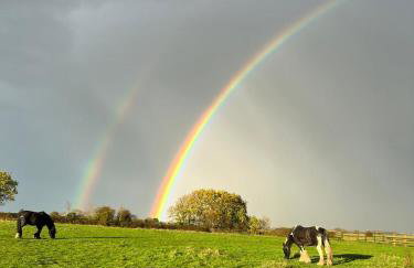 Appaloosa suite with amazing views of stud farm. - Foto 3