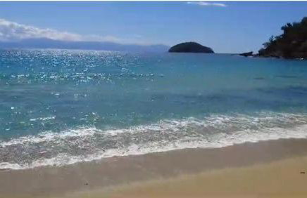 Olivia -Ελιά - Foto 47