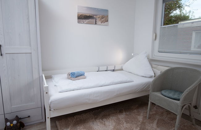 Kegelrobbe - Foto 21