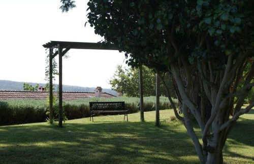 Quinta do Paço D'Anha - Foto 74