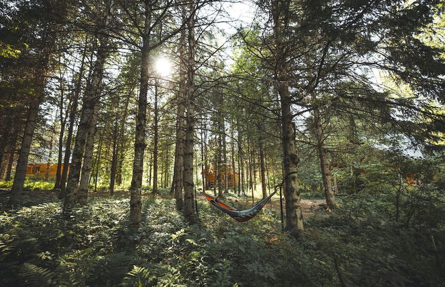 Huttopia Sutton - Photo 66