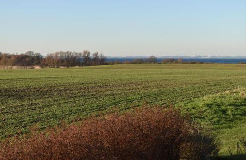 Anne Marie - Photo 13