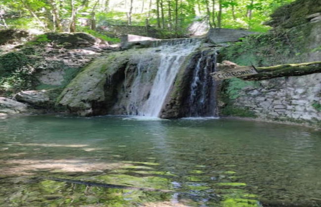 Tuscany Family Country Home - Photo 33