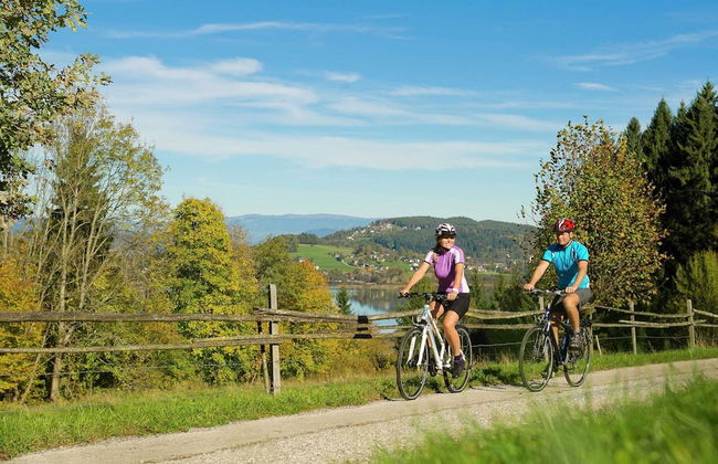 Apartment in Liebenfels in Carinthia Near ski Area - Foto 17