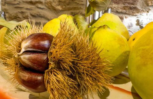 Casa do Souto - Nature & Experiences - Turismo Rural - Foto 41
