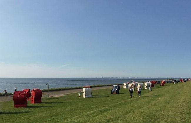 Buschsand Lee Comfortable Holiday Residence - Foto 24