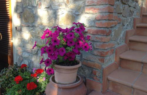 La Vecchia Quercia - Foto 38