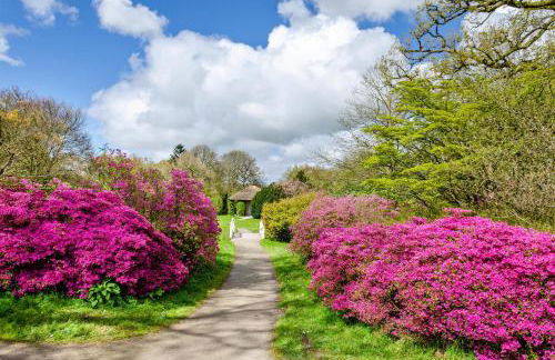 Ferienwohnung Hausrosengarten - Foto 29