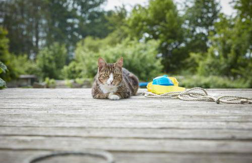 Reiterhof Zwei Linden - Foto 5