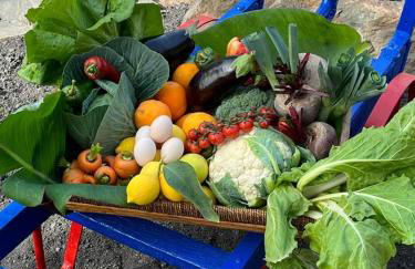 Finca Los Quevedo - Los Corralillos - Photo 34