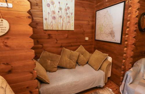 Aurora Skies - Photo 8