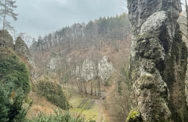 Uroczy dom i bezpłatny parking - Foto 26