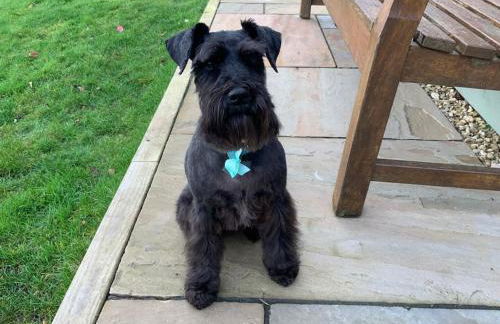 A Cotswold Cabin with Great Views and a Hot Tub - Foto 6