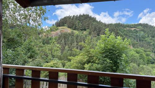 Gite LES SOURCES, 9 pers, 11 couchages - Arlempdes, classé un des plus beaux villages de France - Foto 4