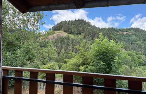 Gite LES SOURCES, 9 pers, 11 couchages - Arlempdes, classé un des plus beaux villages de France - Foto 4