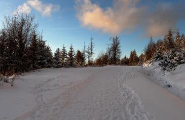 Black Deer - z Sauną na Tarasie, Jacuzzi i Widokiem na Góry - by Deer Hills Luxury Apartments - Foto 31