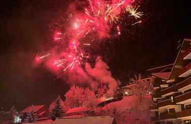 A 2 Pas des Pistes - Vue Imprenable ! - Foto 9