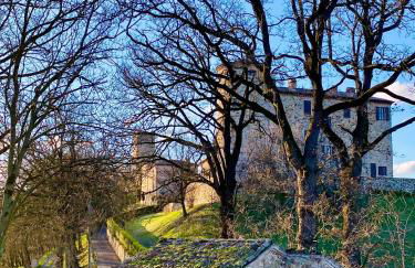 Castello di Viano - Foto 65