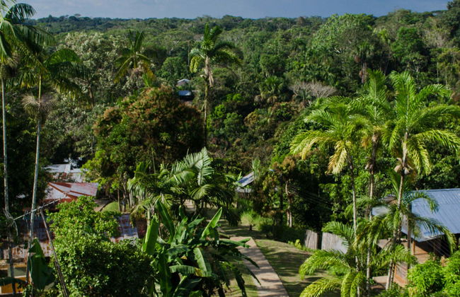 Tour di 4 giorni a Puerto Nariño e Mocagua - Foto 10