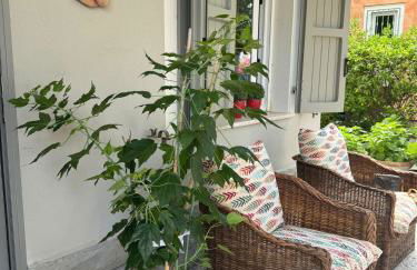 Pesciolino Rosso - Foto 15