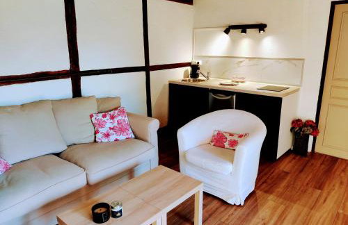 Appartement indépendant 45m2 - Ferme de Chamonal - Photo 14