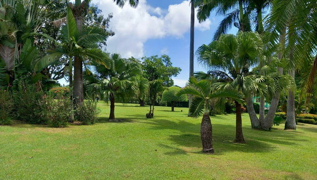 Il giardino botanico di Dominica