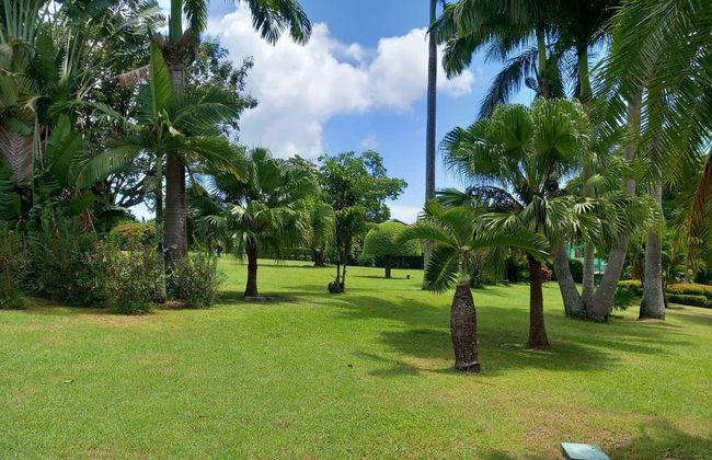 Excursão ao Fort Shirley e ao Jardim Botânico da Dominica - Foto 2