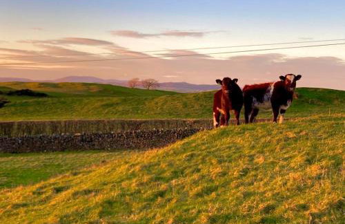 The Steading at Castle Creavie Farm - Foto 34