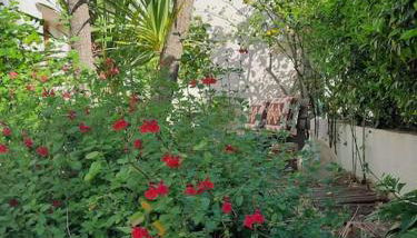 Maison centre Montpellier Jardin et proche plage - Foto 5